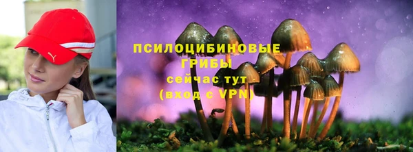 ГАЛЛЮЦИНОГЕННЫЕ ГРИБЫ Бронницы